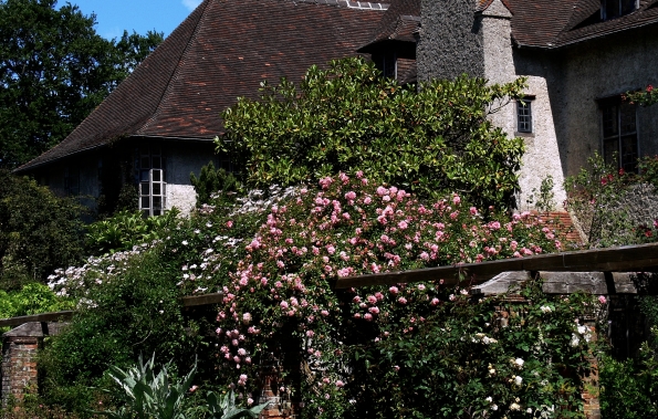 Bois des Moutiers (11) Summer 2012